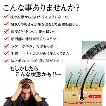 柿のさち薬用スカルプDeepクリアシャンプー500mL【メンズ男性用抜け毛薄毛頭皮毛髪ランキングヘアケアコスメ送料無料あす楽柿渋炭消臭フケお悩みの方にオススメスカルプシャンプー】