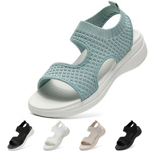 T_ fB[X X|[cT_ jbg bV  ItBX T_ ₷  y ʋC EH[LO IV