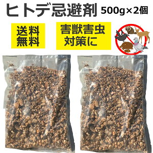 VR qgf  500g×6 3kg Qb 쏜  JX lY~Ȃǌޏ ƒp Qb 쏜 Q HQh~ 悯 C^` JX  ng lY~ nNrV   ƒ؉  J