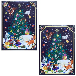 2025 JfB KALDI `RJ_[ X̃NX}X 2Zbg NX}XAhxgJ_[ `R[g `R Mtg v[g q l ̎q j̎q َq JEg_E