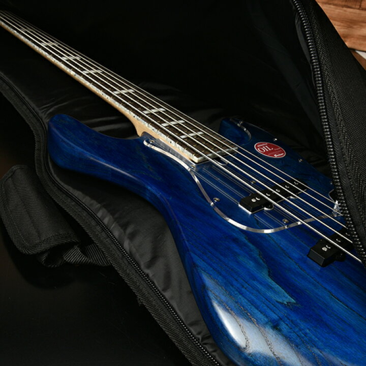 楽天市場】Bacchus バッカス BD-10 Bass Case エレキベース用 