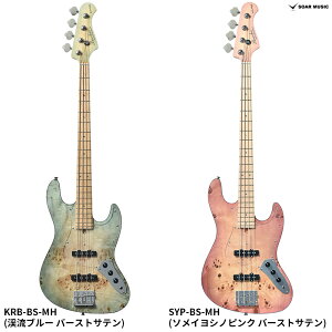 Bacchus WL5-BP-AC/M obJX JTV[Y 5 ANeBu GLx[X Japan Tune-up o[|vgbv