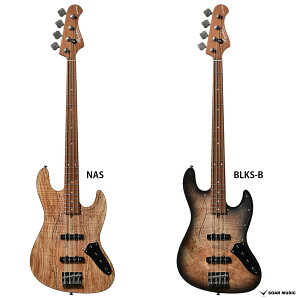 Bacchus obJX WL4-SPM RSM/M JTV[Y GLx[X Japan Tune-up X|ebhCvgbv [XebhCvlbN