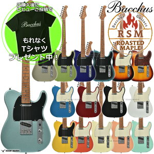Bacchus obJX BTE-1DX RSM/M GLM^[ jo[XV[Y eLX^[ ^Cv [XebhCvlbN XeXtbg BTE1DX RSM