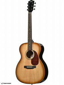 Headway HF-Essential ASB (Amber Sunburst) 2025N ~ X|bgYf wbhEFC AR[XeBbNM^[ ARM