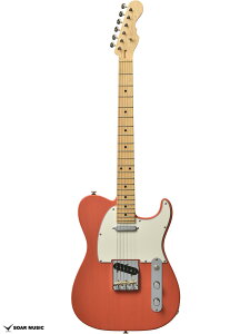 Momose Z MT2-STD/M SFFR V[X[tFCebhtFX^bh #20611 3.2kg GLM^[ M^[eLX^[^CvEAbV{fBECvw