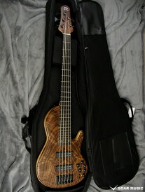 STR GUITERS DSC549 #417 5弦 エレキベース 国産 日本製 ハンドメイド 限定モデル エスティーアール ギターズ