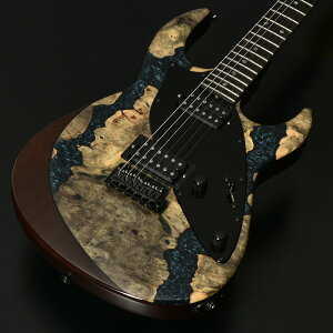 STR JTG Design HH BEB/Maho #JTD0102 3.7kg W i` James Tyler Guitars Design WF[X ^C[ fUC { GLM^[
