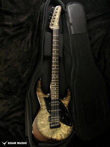 STR GUITERS JTG DESIGN HSH JTD0004 GLM^[ Y { nhCh James Tyler Guitars Designf Xgg ^Cv GXeB[A[ M^[Y