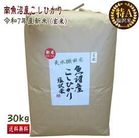 南魚沼産 コシヒカリ 30kg 玄米 徳用 送料無料 特A米 令和7年産 新米 こしひかり 新潟 魚沼産 塩沢米 一等米