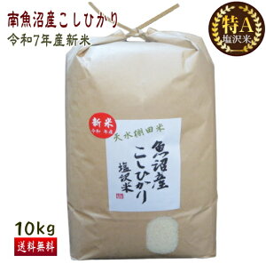 \ i 싛Y RVqJ 10kg   A ߘa7NY V  Ђ V   ꓙ Mtg