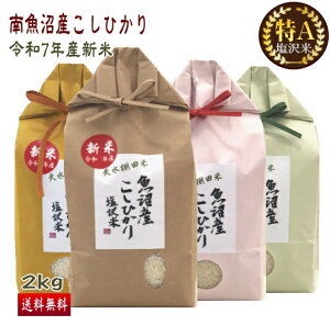 \ 싛Y RVqJ 2kg  A ߘa7NY V  ^[pbN  Ђ V  ꓙ