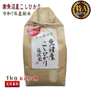 \ 싛Y RVqJ 1kg   A ߘa7NY V  ^[pbN  Ђ V Yn  ꓙ