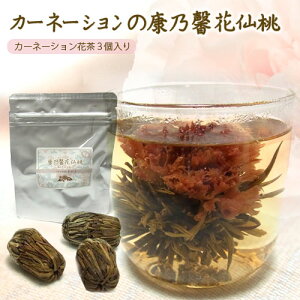 H| NT]Ԑ响 Ԓ 3 J[l[V  Mtg ʗXւ  G