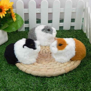 �ʂ������ ���f�B�[�X ���A���� �n���X�^�[ �������b�g �t�F�C�N�t�@�[ �}�X�R�b�g �C�G���[ �u���b�N �A�b�V���O���[ �}���`�J���[ �C���e���A �I�u�W�F �u��