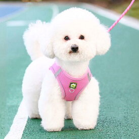 犬用ハーネス 小型犬用 ベスト型 胴輪 メッシュ 通気性 ポリエステル お散歩 リード 牽引ロープ 外出 おでかけ 選べるカラー 多色展開 軽量 快適