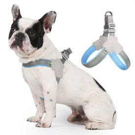 ハーネス 中小型犬 柴犬 コーギー ビション テディ 猫 リード 背心式 ナイロン イエロー レッド ライトブルー 散歩 室内外 かわいい 普段使い