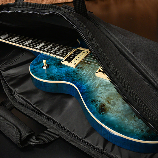 楽天市場】【エレキギター用ギグバッグ】Bacchus ED-10 Guitar Case