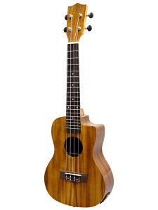 S.Yairi EN YU-C-01KE RT[gTCY sbNAbvڃf S C