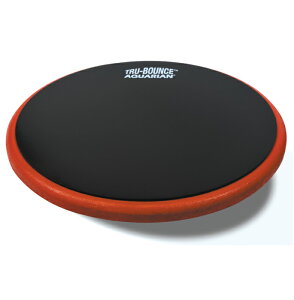 AQUARIAN アクエリアン 12インチ ドラム用 プラクティスパッド Tru-Bounce Practice Pad ATP12トレーニングパッド 練習パッド