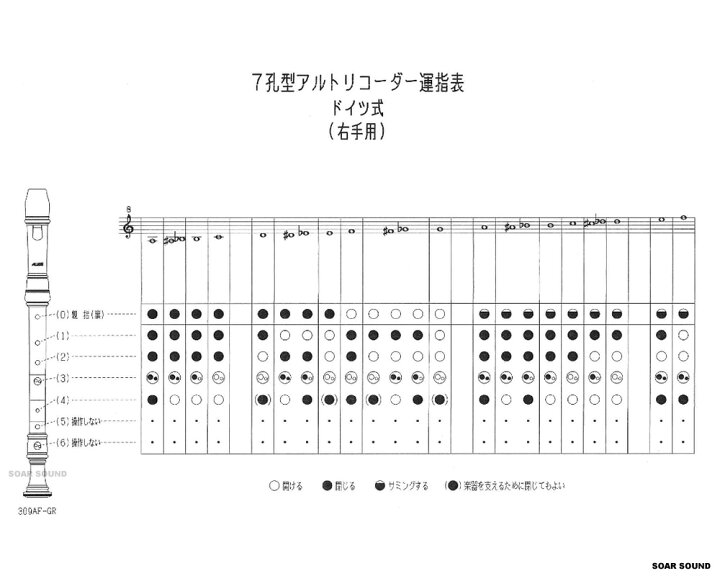 楽天市場】AULOS アウロス 7孔型 右手用 ドイツ式 改造 