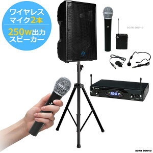 y250W ózptŃ|[^uȖCX}CNZbg Av Xs[J[ Zbg 2lΉ gpOK }CN^Cv I (ԍ W2-TR250WS)