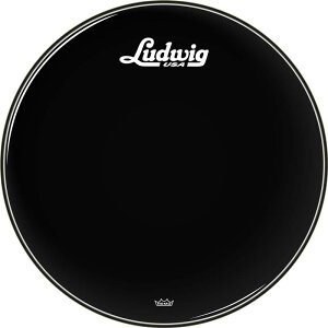 Ludwig LW1020P3ESV 20 HEAD EBONY STROKE HEAD EBONY SC LOGO BLACK �X�N���v�g���S ���f�B�b�N REMO�А� ���S����w�b�h 20�C���` �h�����w�b�h �o�X�h�����p
