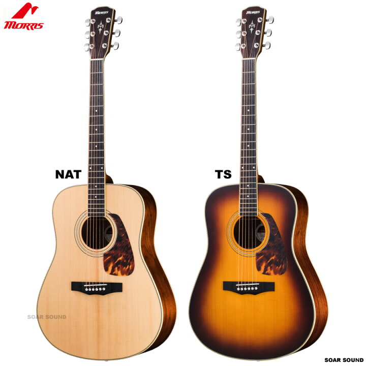 楽天市場】Morris モーリス アコースティックギター M-022 アコギ  