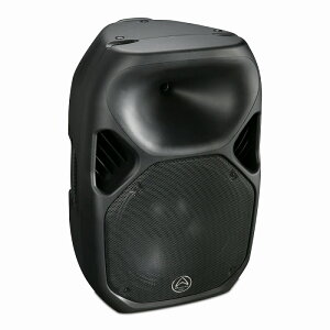 Wharfedale Pro ���[�t�f�[���v�� �p�b�V�u �X�s�[�J�[ 1�{ Titan 15Z �p�b�V�u�X�s�[�J�[ 15in