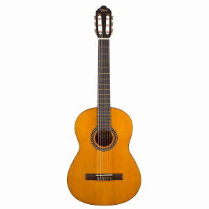 VALENCIA @VA CLASSIC GUITAR NVbNM^[ VC204 NAT i` M^[