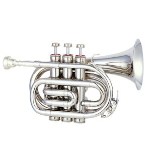 MAXTONE Ǌy TM-100N MAXTONE gybgEMbp