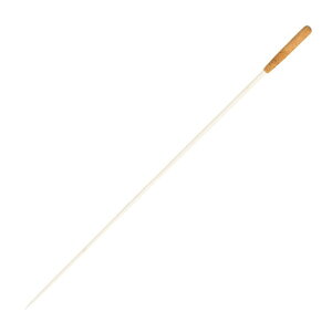 ROHEMA 61506 ROHEMA w_i^Ngj