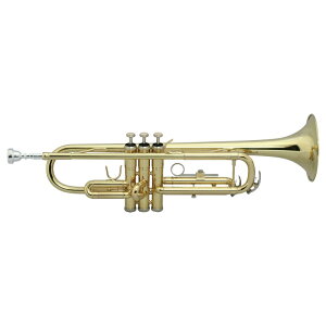 MAXTONE Ǌy TT-104L MAXTONE gybgEMbp