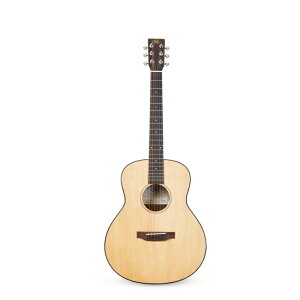 SX Guitars V[gXP[ SS760 SX AR[XeBbNM^[