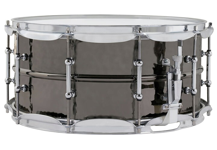 楽天市場】Ludwig ラディック ブラックビューティ Black Beauty 6.5x14 