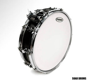 hwbh XlAp Genera WFl i1vCj 12" EVANSiGoXj B12GEN