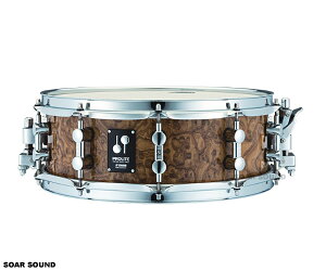 SONOR \i[ XlAh 14"x6" PROLITE SERIES vCgV[Y PL-1406SDW p[t[vdl HG Cv Be[W VF XlA nCOXJ[