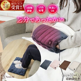 【41%OFFで今がお得にGET→2150円~】 ホットマット 洗える デスク下 フットヒーター 電気マット USB 足元ヒーター オフィス 足 ぬく ホットカーペット ミニサイズ ホットクッション マット 家族 床暖房 電気 ひざ掛け