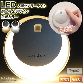 300名様《お得な♪48％OFF期間クーポン》 センサーライト 人感センサーライト フットライト 式 LEDセンサーライト 屋内 足元灯 ナイトライト 人感 ライト 薄型 usb 小型 子供部屋 かわいい 常夜灯 明るさ 室内 間接照明 廊下 LED 人勧センサー 目に優しい 玄関 足元 電