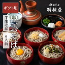 出雲そば お歳暮 ギフト 【楽天ランク1位】 御歳暮 出雲そば そば ギフト 年越しそば 年越し蕎麦 蕎麦 セット プレゼント 新そば 【半生そば6人前】 6人前（半生 そば6袋/化粧箱入り）つゆ付 献上 羽根屋 割子そば 出雲蕎麦 はねや 贈り物 割子 贈答 日本三大そば 長寿