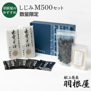 hV̓ Hׂ  Mtg o_  Mtg  Zbg v[g yMTCY500gZbgz t 4lO N[ Ⓚ  H  q  
