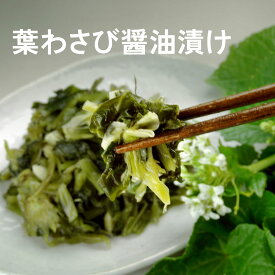本等山葵商店 葉わさび醤油漬け 信州 安曇野 200g 敬老の日 お中元 ギフト プレゼント 食べ物 内祝
