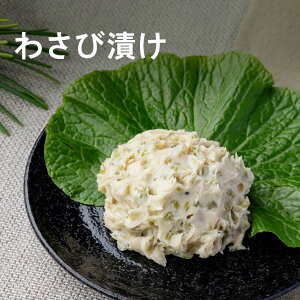 {RX 킳ђЂ MB ܖ 120g  hV̓ Mtg v[g Hו j