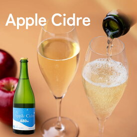 ◎ 加藤農園 シードル Apple Cidre 750ml 国産 長野県産りんご使用 辛口 ドライタイプ スパークリングワイン 果実酒 母の日 ギフト プレゼント 家飲み 宅飲み