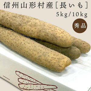 Ε Mtg  R`Y  MB 쌧 5kg / 10kg p 