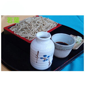 t낤 100g 15lO ΂(h`) 54cc 15{  Nz΃Zbg  Nz t Y Nz Y  낻    ΂ 