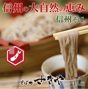  4lO MB  v[g   Mtg 쌧   Y ΃Zbg t Zbg 蕨  ΂ zAi  