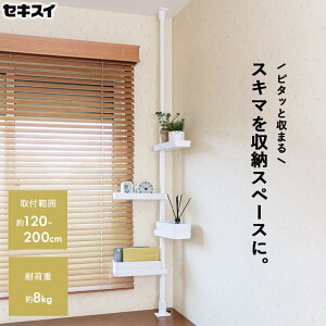 [ ZLXC ς莮XbN TSR-SW ] ˂莮bN ς莮 bN ς莮bN [ ς X bN ςI ˂ ˂莮 XbN  zCg 