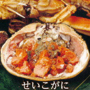 ɊIցI̓~̖o zO`ƂꂽĒIɁ@zOɁ@