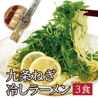 ＼冷やしぶっかけラーメン！／九条ねぎたっぷり！「九条ネギ冷しラーメン」和風だし香る！蕎麦屋の冷しラ…